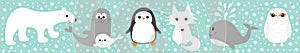 Arctic polar animal set line. White bear, owl, penguin, Seal pup baby harp sea lion fox wolf whale albatross seagall. Kids