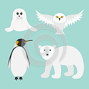 Arctic polar animal set. White bear, owl, king penguin Emperor Aptenodytes Patagonicus, Seal pup baby harp. Kids education cards.