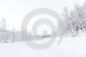 Arctic road with snowcovered forest