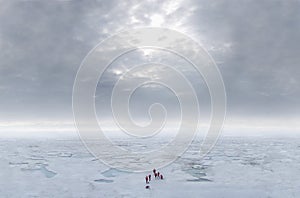 Arctic Sea ice and clouds photo