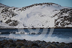 Arctic timelapse of ice mountain ranges at snow landscape. Nobody wild nature environment scenery of climate change