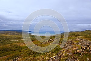 Arctic tundra landscape