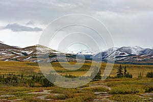 Arctic Tundra snowy Richardson Mountains YT Canada