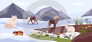 Arctic tundra wild animals and plants on nature landscape with mountains vector illustration, Northern taiga flora fauna