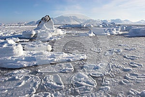 Arctic winter landscape