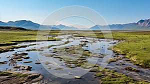 Arctic Wolf Wetland: A Serene River Surrounded By Green Grass