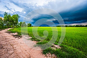 Arcus clouds over the green rice field photo