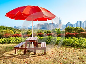 Arden wooden table set under red sunshade,with city Skyline in background