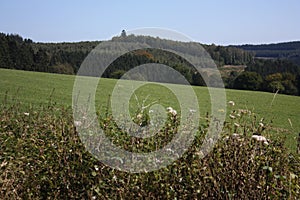 The Ardenne at the location La Roche in Belgium