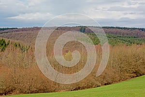 Ardennes landscape with layers of bare deciduous and pine trees under a cloudy sky