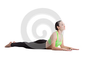 Ardha Bhujangasana yoga Pose