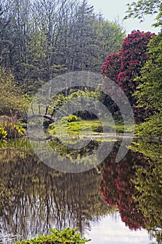 Ardwell Pond Dumfries and Galloway