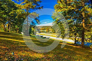 Area along Lake Nickajack on a beautiful fall morning