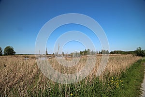 Area around the Zevenhuizerplas, a lake between Oud Verlaat and Rotterdam Nesselande