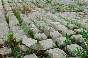 Area covered with flexible concrete mat to prevent erosion, laid on the ground, with plants growing through it