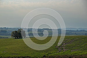 Area of farms in the campaign region of Rio Grande do Sul photo