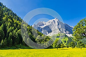 The area Great Ahornboden in the Risstal valley near the Eng Alm in Austria