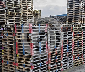 Area with large stacks of euro palets ready for recycling photo