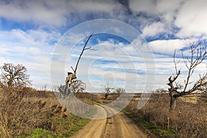 Protected area in Bulgaria `Marashka koria` photo