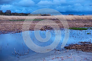 Area near Parnu bay in evening. It a bay in the northeastern part of the Gulf of Livonia Gulf of Riga, in southern Estonia