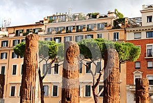 Area Sacra Ruins , Rome