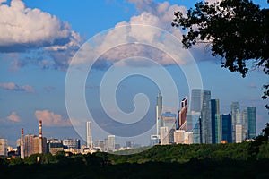 The area of skyscrapers of Moscow City, view from afar through leaves, wood