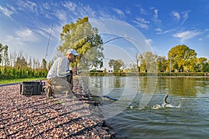 Area trout fishing. Fisherman cath fish on lake by spinning rod. Angler in action cought fish