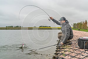 Area trout fishing. Fisherman with spinning rod in action playing fish