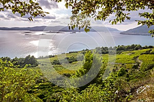 Areal view on coastline near Orebic, Croatia photo