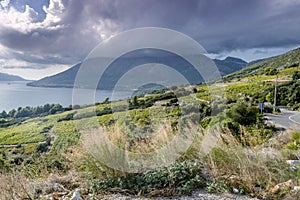 Areal view on coastline near Orebic, Croatia photo