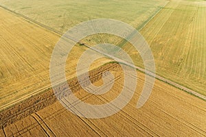 Areal view of corn field