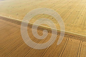 Areal view of corn field photo