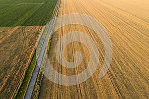 Areal view of crop fields in summer day