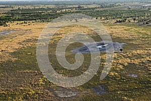 Areal view okavango delta with waterhole elephant and ostriches