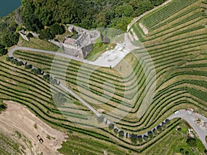 Areal view at wineyard and castle of Morcote on lake Lugano, Switzerland