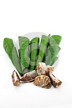 Areca betel leaves nut