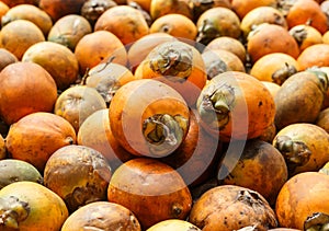 Areca-nut background