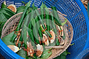 Areca nut, betel nut chewed with the leaf is mild stimulant