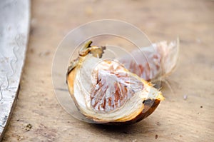 Areca Nut or Betel Nut Palm over Cutting board background. Selective focus with shallow of field.