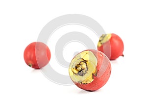 Areca nut white background in studio photo