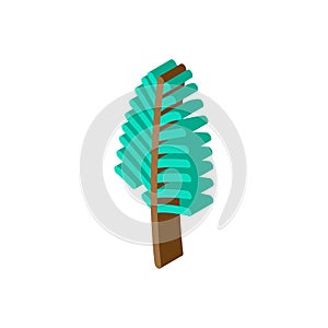 areca palm tropical leaf isometric icon vector illustration