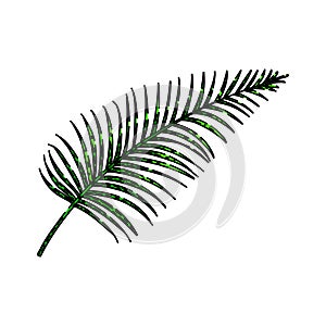 areca palm tropical leaf sketch hand drawn vector