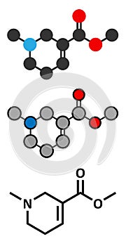 Arecoline areca nut stimulant molecule