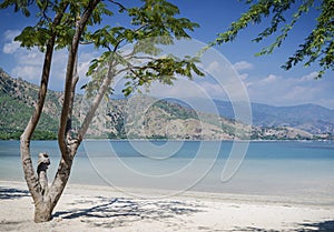 Areia branca tropical beach view near dili in east timor