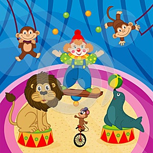 Arena in circus with animals and clown