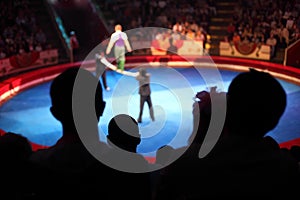 Arena in circus performance with acrobat