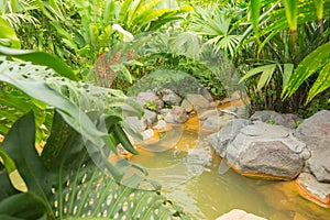 Arenal hot spring, Costa Rica