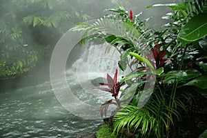 Arenal Hot Springs - Costa Rica photo