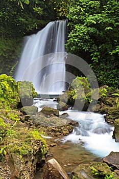 Arenal Tropical Waterfall photo
