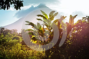 Arenal volcano